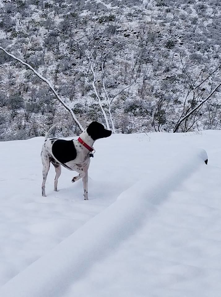 Snow in Vail